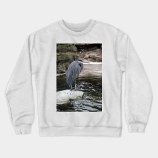 Blue Heron Hanging out on a Rock Crewneck Sweatshirt